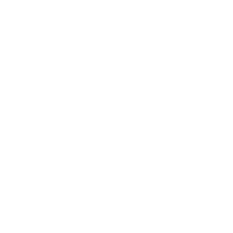 Alvio Logo